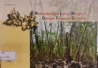 Image of Manfaat Lahan Marginal Dengan Tanaman Ganyong