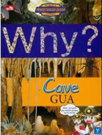 Image of WHY ? CAVE