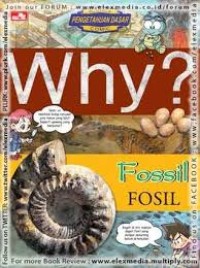Image of WHY ? FOSSIL